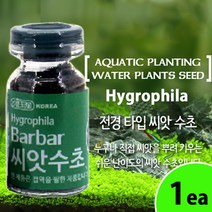 바바 씨앗수초 S(1통) 전경용 /수족관 어항 수조 초보 수초기르기 수초항 소일 ADA 장식품 꾸미기 구피