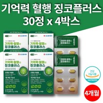 코스트코 징코 맥스 플러스 은행잎 은행나무 추출물 기억력에 좋은 고시생 청소년기 영양제 ginko biloba 플라보놀 배당체 비타민 b1 b2 b6, 4개