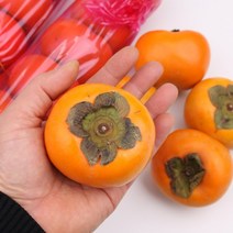 단감 10kg 팔팔마켓 국내산 부유단감 햇 단감 판매