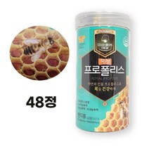 닥터헬퍼 목청 프로폴리스 캔디 도라지농축액 감초농축액 모과농추액 상쾌한 목캔디 48정, 1개, 216g