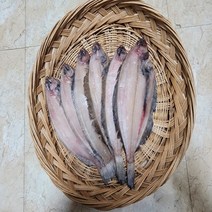 감포 울산 해풍반건조 참가자미 미주구리 납세미 수협가자미 24cm이상, 선택2,26cm-28cm 9미