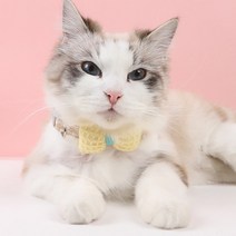집사의의무 고양이 강아지 리본 케이프 나비넥타이, 핑크