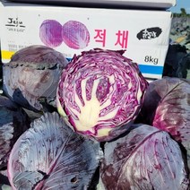 제주 적 양배추 1.2kg 내외 1박스 빨간양배추 적색양배추, 1통 1.2kg내외, 1개
