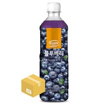 대호 블루베리(농축액) 1000ml X 12개, 1개