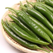 오이고추 1kg 팔팔마켓 안매운 아삭이 풋고추판매, kg