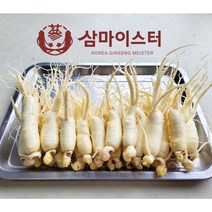 금산인삼장인 삼마이스터 세척인삼 업소용인삼 5년근 6년근 수삼 파삼 난발삼소 500g, 1.세척안함, 1개