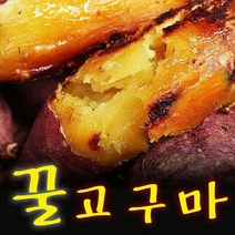 구매평 좋은 베니하루카고구마3kg 추천 TOP 8