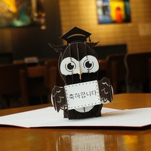 3D 입체카드 생일선물 여자친구 기념일 선물 여친선물 예쁜 편지지, S5.부엉이, 1개