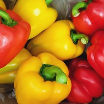 가정용 파프리카 1kg 2kg / 빨강노랑혼합, 1kg (빨강노랑혼합)
