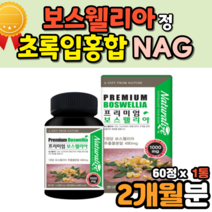 fjcc복합체 보스웰리아 NAG 초록잎홍합 상어연골 정 보스웰리스 보수엘리아 유향나무 fjcc복합체 초록홍합 60대 70대 80대 할머니 할아버지 노인