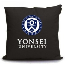 연세대 로고 엠블럼 쿠션 등쿠션 소파 베게 대학교 학원 학생 선물 판촉물 기념품 사은품, 40cm, 패턴 6