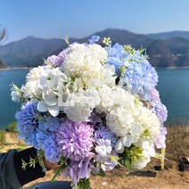 조화 꽃다발 수국조화 번들 부케 2P, 퍼플_수국_2P