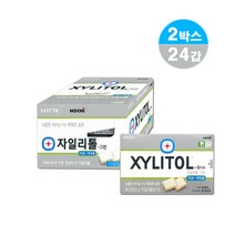 금연보조제품 무설탕 껌 자일리톨 그린 60 16g 12갑 2박스 (24년 6월) 당뇨환자 충치 치매 예방 약국 기능성 껌, 24개