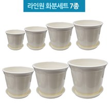 공화분 현관 거실에 두면 좋은 꽃나무 실내용 벤자민 국화 집안 테라스 소형 대형 큰 화분, 7호 화분세트