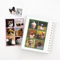 민화샵 네컷 포토이즘 사진앨범 포토앨범제작, 네이비 UFCOF0782