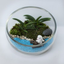 비단 이끼 미니 정원 바다와 토끼 테라리움 DIY 만들기 키트 공기정화 반려 식물 인테리어 소품