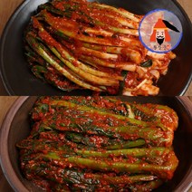 [황장군] 당일제조 여수 전라도 파김치 돌산 갓김치 1kg 2kg 3kg, 1kg 갓, 여수 돌산 갓김치