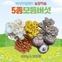 산지직송 당일수확해서 보내는 모듬버섯, 5종모듬버섯