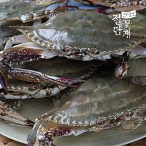 제이앤와이 연평도 햇 절단꽃게 350g 9팩 총 3.15kg, 1