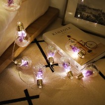 아트박스/비아케이스튜디오 라벤더 블링 플라워 전구 줄 LED 조명, 옵션:라벤더