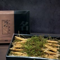 경성건강원 국내산 토종 삼 6년근 수삼 인삼 생삼 인삼튀김 인삼효능 인삼말리기 특산물 건강선물세트 300g [10~13뿌리]
