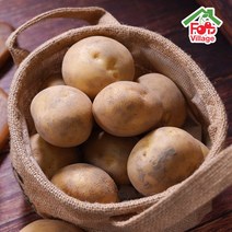 [푸드빌리지]과일천하 2023년 햇 하우스 수미감자 3kg/5kg/10kg 감자, 1개, 5Kg (중)