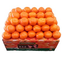 자체브랜드 타이팩 비가림 감귤 5kg, 타이팩밀감