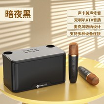 마이크 무선 휴대용 블루투스 노래방, 블랙