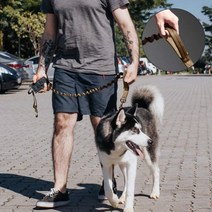 강형욱리드줄 대형견목줄 대형견리드 보듬 리드줄, 밀리터리