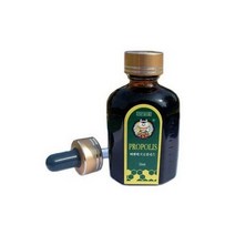 비앤비 홍익꿀벌 프로폴리스 1개 100ml, 100ml × 1개
