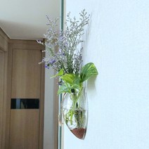 거실꾸미기 예쁜 수경 식물 개운죽 유리볼 투명 벽걸이 행잉 플랜트 화병, 물방울