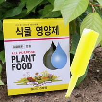 골든트리 식물영양제 10개입 화초 수목 난 비료 앰플