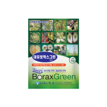 보락스그린 1kg