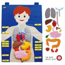 차트 신체기관 명칭 학습벽보 학습교구 벽걸이차트