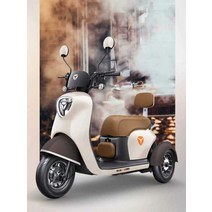 전기삼륜오토바이 트리오 3륜 삼토바이 소형 전동 노인 어르신 세발 마실용, 말차 그린-60v23ah 그래핀 배터리 60V