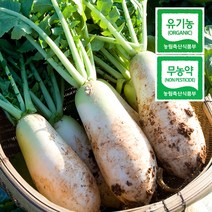 마켓엔 친환경 유기농 무농약 무 3kg(2~3개내외) 6kg(4~6개내외), 친환경 무 약6kg(4~6개내외)