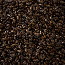 수입약초 볶은 결명자 600g, 162N_볶은 결명자 600g