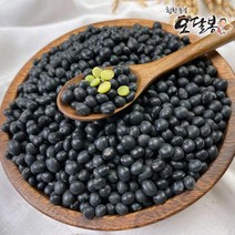 특품 2022년 국산 약콩 청약콩 쥐눈이콩 청서목태, 1개, 500g