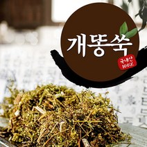 제천약초생활건강 개똥쑥 250g, 1개, 제천약초생활건강개똥쑥250g