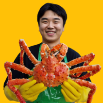 [수율보장] 명품 레드 킹크랩 1마리 포항 구룡포 영덕 울진, 킹크랩 2.5kg