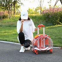 고양이 캐리어 이동장 산책 이동 가방 여행 외출 투명 캡슐, 투명 오렌지