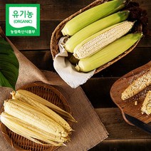 이호 강원도 홍천 유기농 찰 옥수수 여름 간식 10개 20개 30개, 이호 유기농 강원도 옥수수 20개