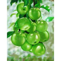 세진 NEW 보석십자수 3D 72가지 신제품 새로운 취미생활 보석 십자수 보석십자수, 34x44 보석십십자수 0011