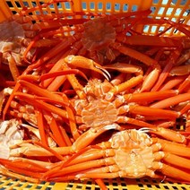 요리하는 아들 선주 산지직송 일반홍게 3kg(1kg당 3-5미쯤/마리당250~350g), 1개, 일반홍게 생물 3kg(250~350g)