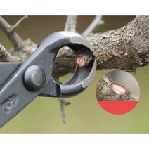 분재 혹가위 원예 나뭇가지 화훼 농원 가지치기 조경, B11B (290mm)