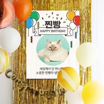 파티스토어 마블(옐로우)풍선+현수막 8종세트(세로포토) _ 강아지생일파티 고양이생일파티, 2)♥주문제작♥ C1638_마블풍선(옐로우)+현수막 8종세트