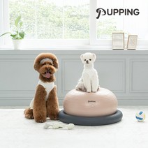 [퍼핑] 강아지짐볼 슬개골탈구예방 운동기구 짐볼+홀더 세트, 퍼핑 강아지짐볼 세트 (짐볼+홀더)