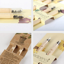 KC 몽당 씨앗연필 2개입 씨앗 심기, 나팔꽃, 본상품색상및수량선택