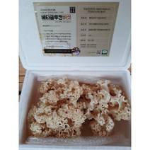 [도담손가]꽃송이버섯1Kg, 1개
