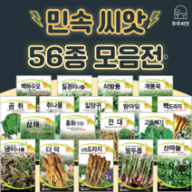 민속채소 씨앗 약초종자 도라지 더덕 냉이 잔대 고들빼기 땅두릅 산마늘 곤드레 취나물 씨앗, 35. 시호 2g, 1개